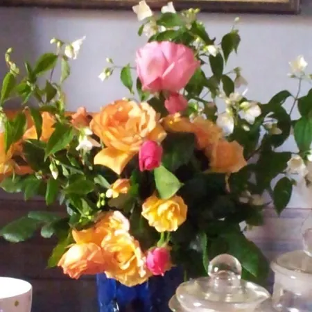 Canto Porta Vecchia Bed & Breakfast Pistoia
